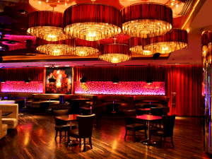 Bar Area